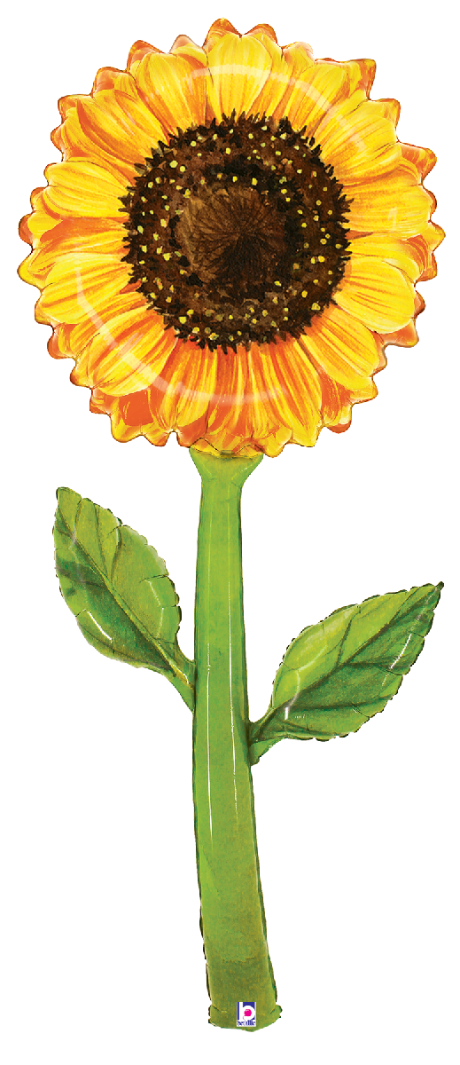 Fresh Flower Pick Balloon Bouquet